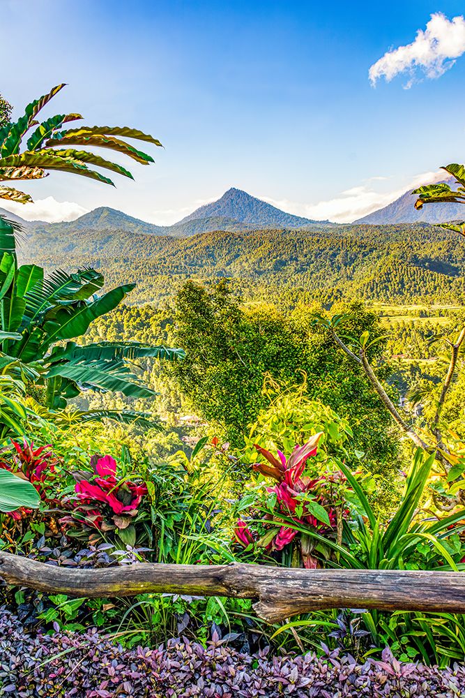 Bali, Indonesia. Lush tropical growth with three volcanos in the distance. art print by Murray McCallum for $57.95 CAD