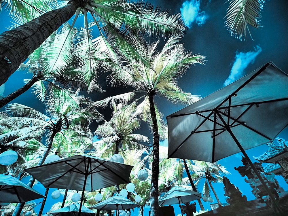 Bali-Ubud-Umbrellas-Ponds and pools at hotel in Ubud art print by Terry Eggers for $57.95 CAD
