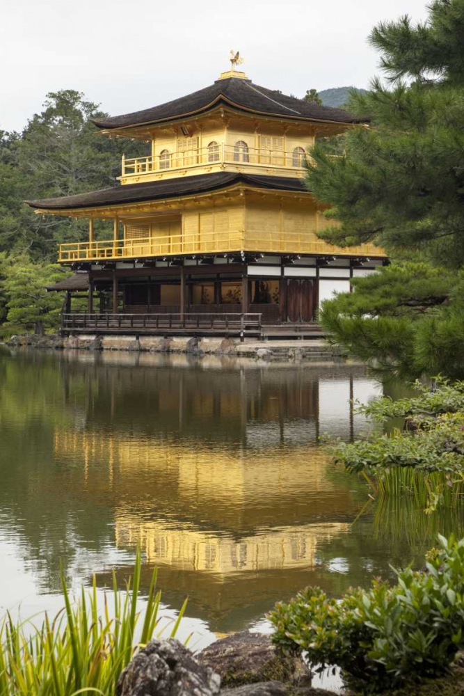 Japan, Kyoto Temple of the Golden Pavilion art print by Dennis Flaherty for $57.95 CAD