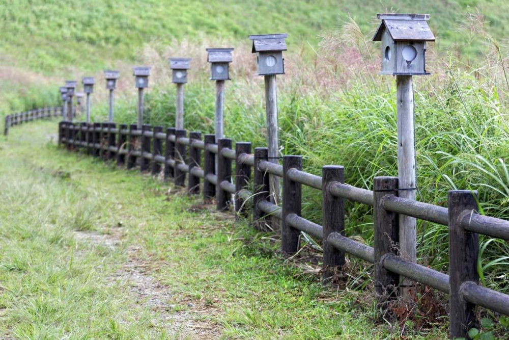 Japan, Nara Soni Plateau Wooden lanterns art print by Dennis Flaherty for $57.95 CAD