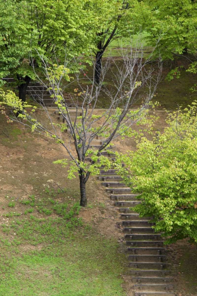 Asia, Japan, Heguri-cho Stairway in a park art print by Dennis Flaherty for $57.95 CAD