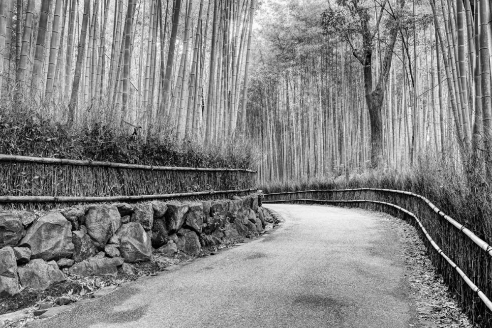 Japan, Kyoto Walkway through Arashiyama Grove art print by Dennis Flaherty for $57.95 CAD