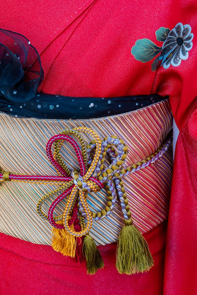Detail of obi on a womans Japanese kimono, Kyoto, Japan art print by Jim Engelbrecht for $57.95 CAD