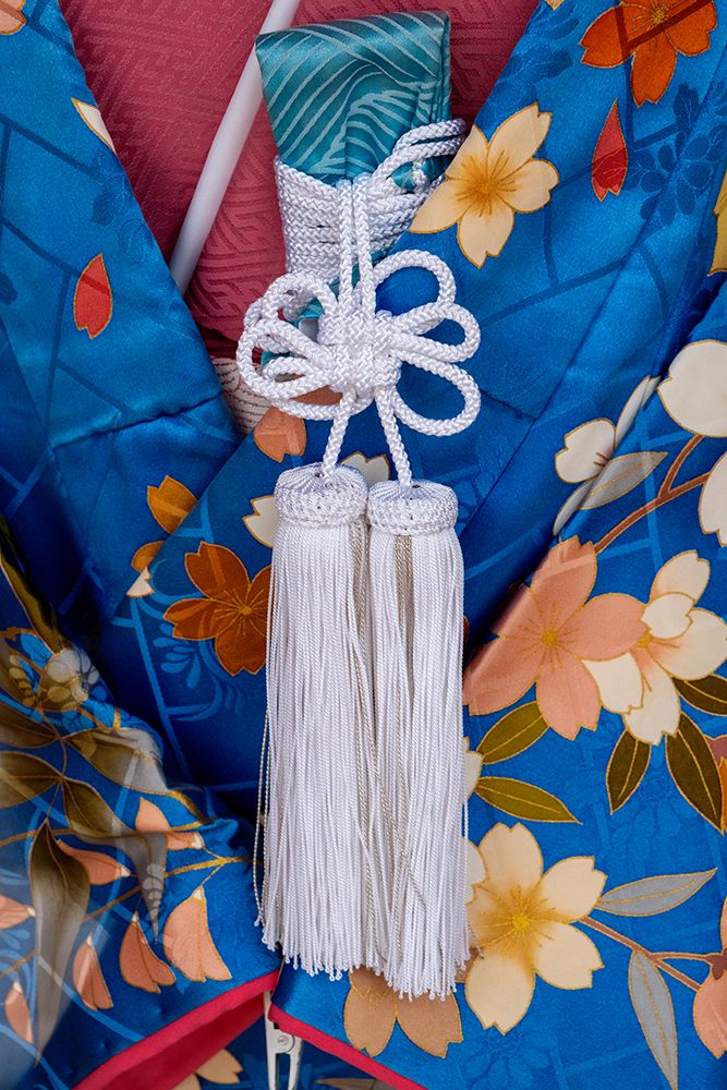 Detail of obi on a womans Japanese kimono, Kyoto, Japan art print by Jim Engelbrecht for $57.95 CAD