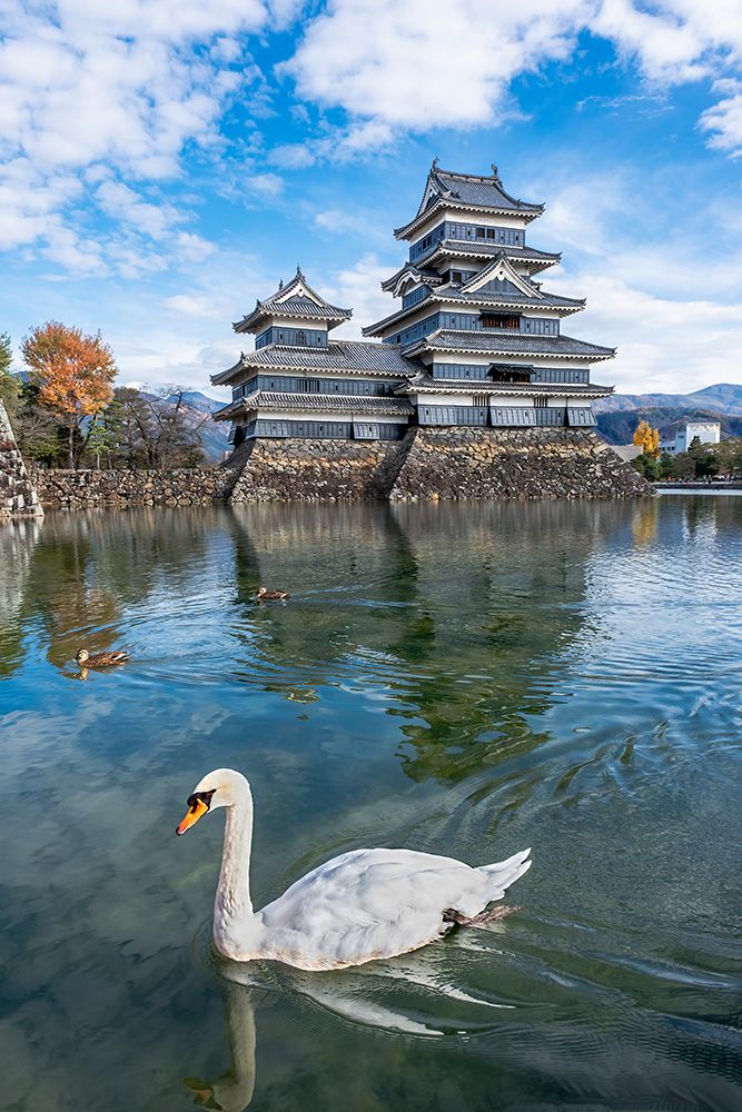 Matsumoto Castle, Matsumoto, Japan art print by Jim Engelbrecht for $57.95 CAD