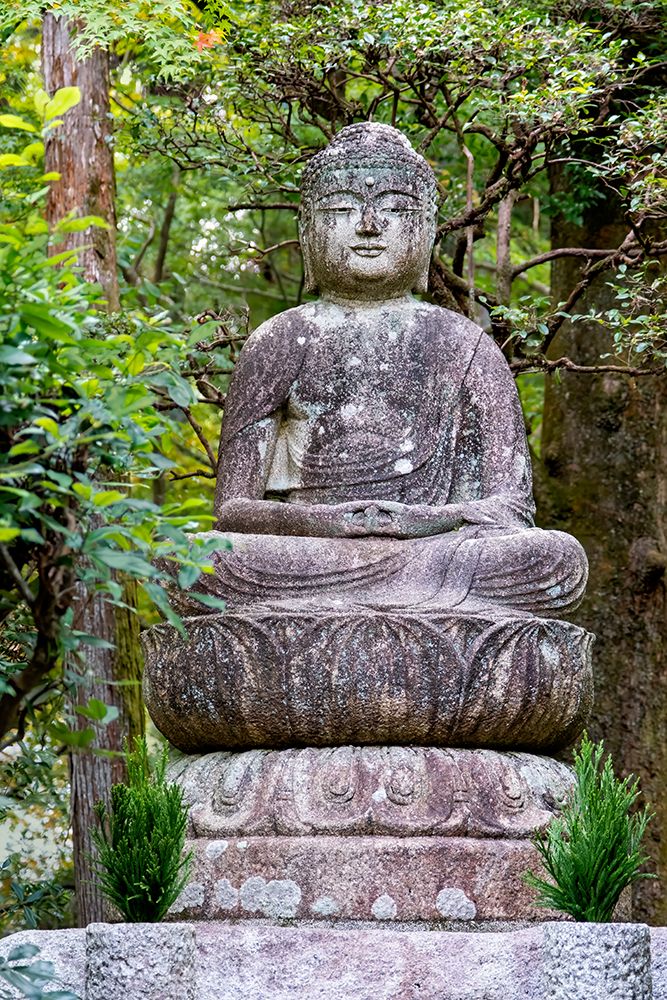 Seated stone Buddha on the grounds of Ryoanji Temple, Kyoto, Japan art print by Jim Engelbrecht for $57.95 CAD