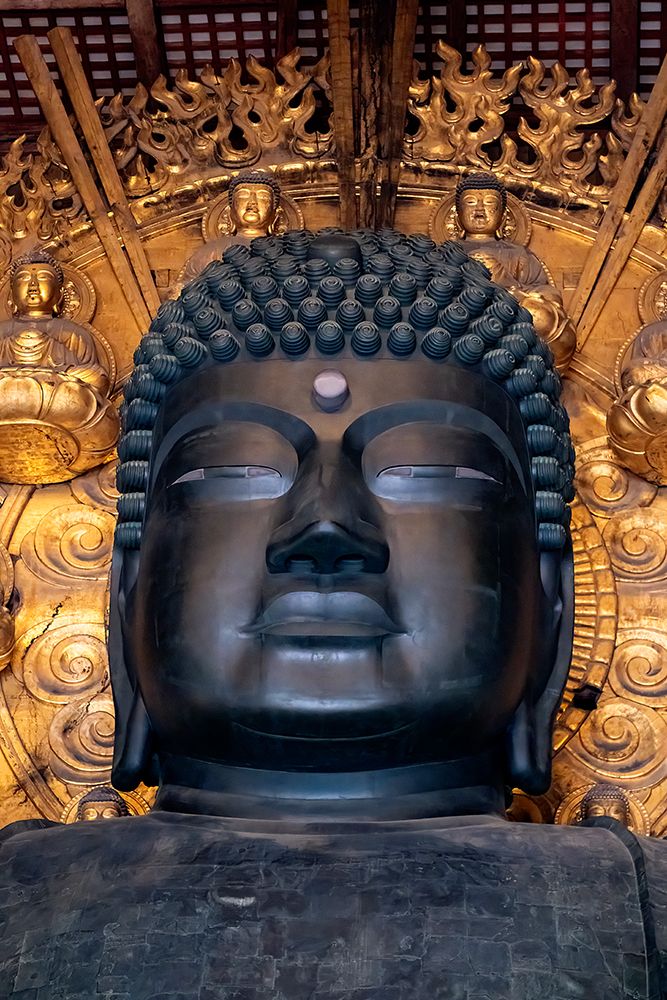 Head of large bronze Buddha, Great Buddha Hall, Todai-ji temple, Nara, Japan art print by Lisa Engelbrecht for $57.95 CAD