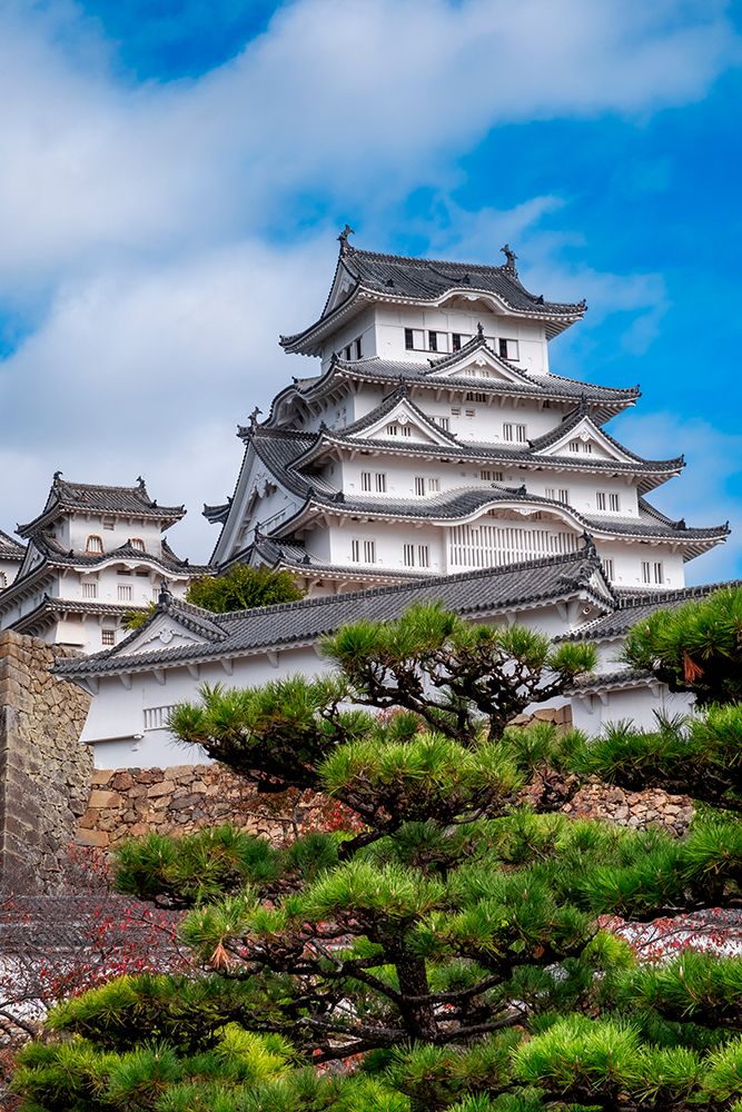 Himeji Castle, Himeji, Japan art print by Lisa Engelbrecht for $57.95 CAD