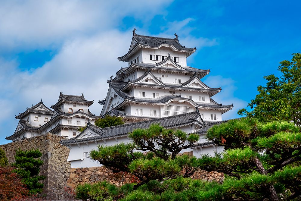 Himeji Castle, Himeji, Japan art print by Lisa Engelbrecht for $57.95 CAD