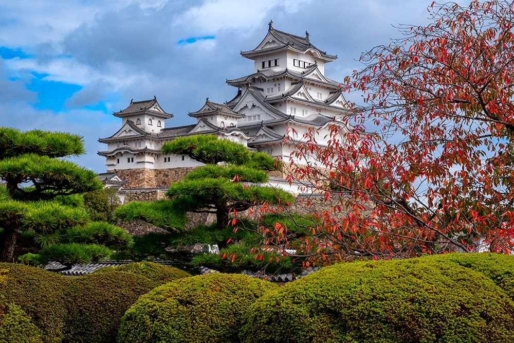 Himeji Castle, Himeji, Japan art print by Lisa Engelbrecht for $57.95 CAD