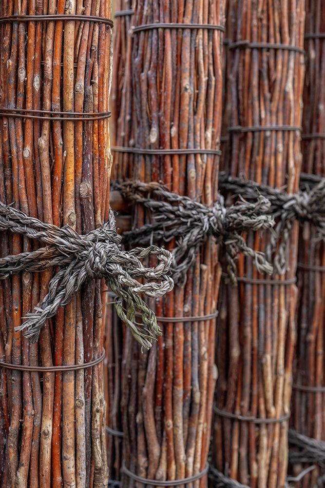 Japanese fence made with bundles of tied up twigs, Kyoto, Japan art print by Lisa Engelbrecht for $57.95 CAD