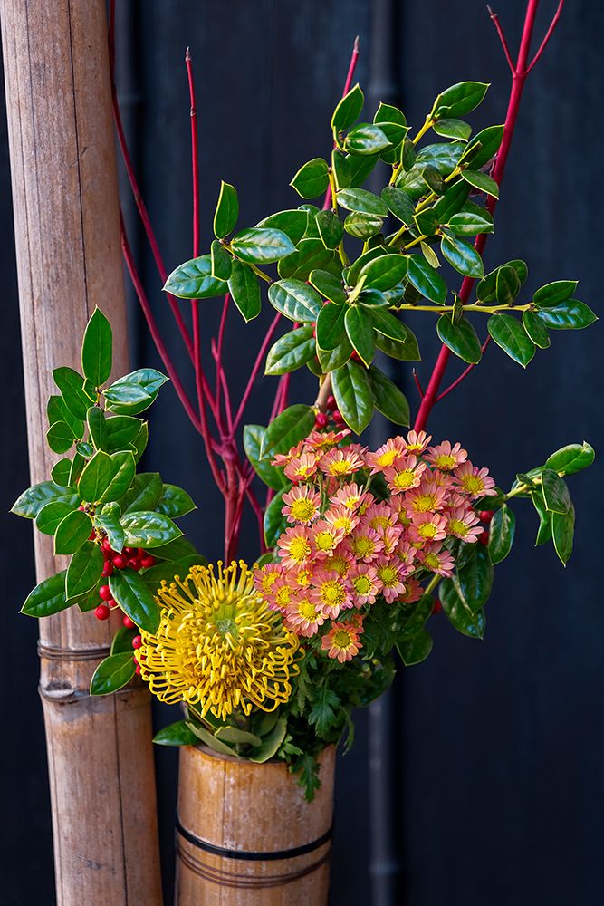 Japanese flower arrangement, with pincushion protea and chrysanthemums, Takayama, Japan art print by Lisa Engelbrecht for $57.95 CAD