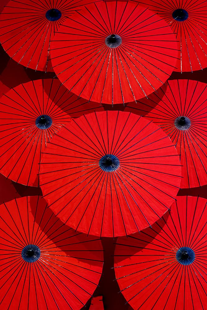 Red paper parasols on display, Arashiyama, Kyoto, Japan art print by Lisa Engelbrecht for $57.95 CAD