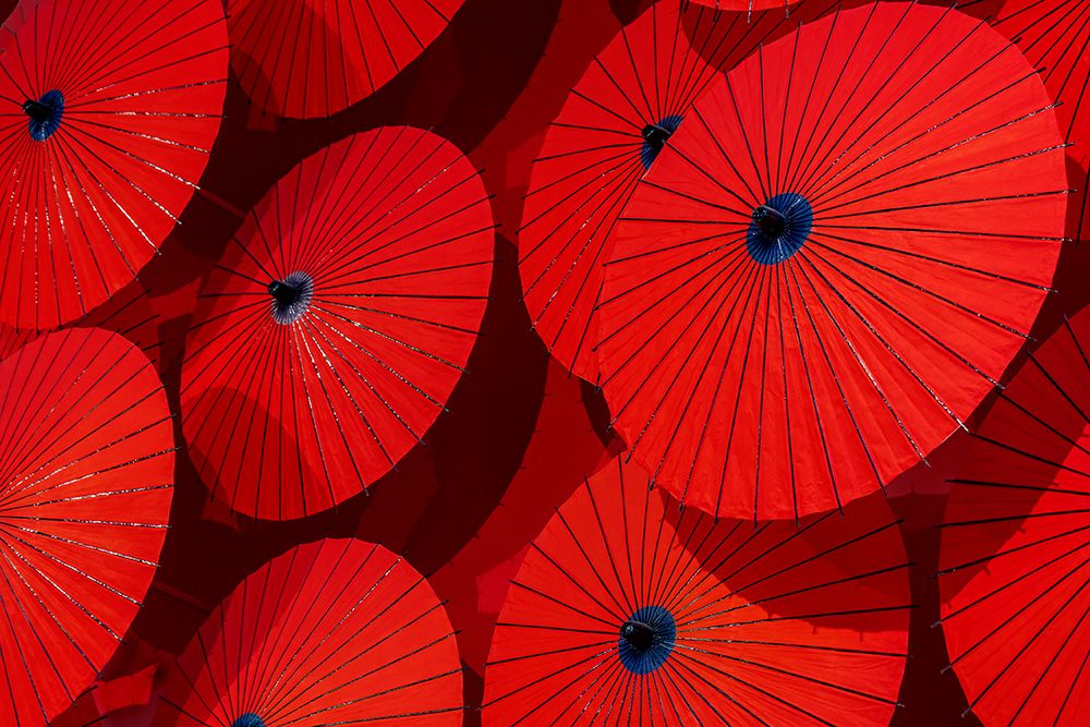 Red paper parasols on display, Arashiyama, Kyoto, Japan art print by Lisa Engelbrecht for $57.95 CAD
