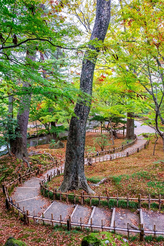 Serene walkway, Kenrokuen Garden, Kanazawa, Japan art print by Lisa Engelbrecht for $57.95 CAD