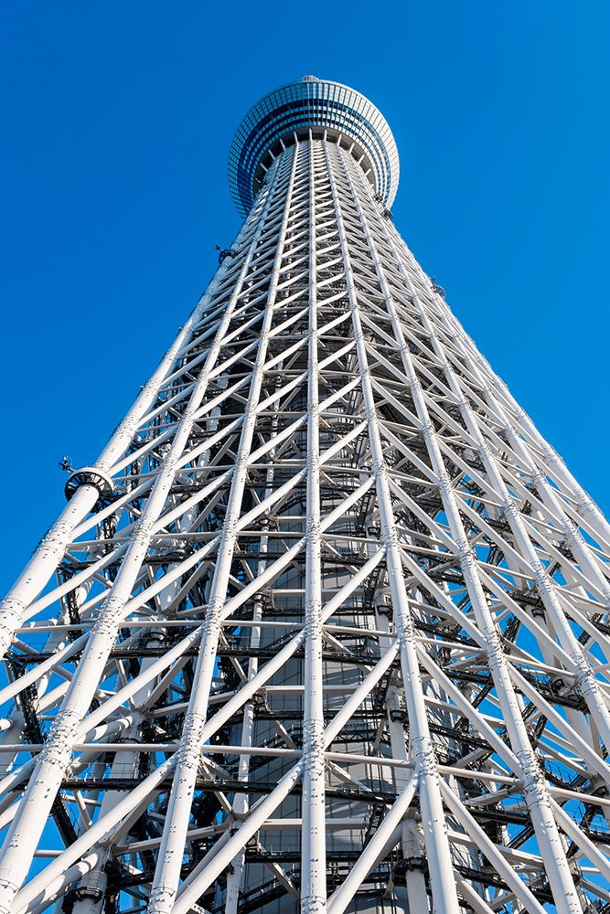 Skytree tower, Tokyo, Japan art print by Lisa Engelbrecht for $57.95 CAD