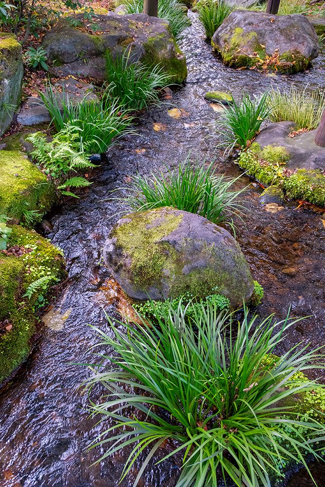 Stream in Koko-en Garden, Himeji, Japan art print by Lisa Engelbrecht for $57.95 CAD