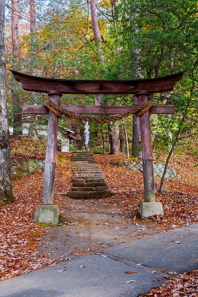Torii gate, Hida No Sato, Hida Folk Village, Takayama, Japan art print by Lisa Engelbrecht for $57.95 CAD