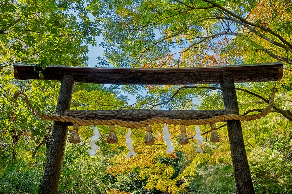 Wooden Torii Gate, Nonomiya Shinto shrine, Arashiyama, Kyoto, Japan art print by Lisa Engelbrecht for $57.95 CAD