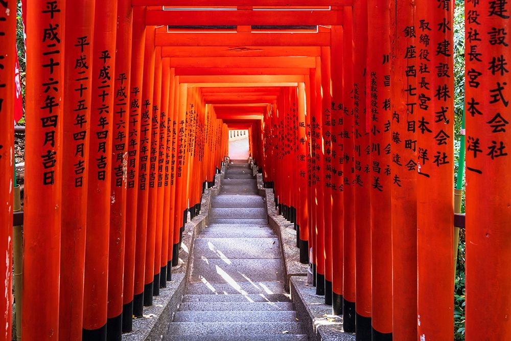 Famous Torii-or gates of the entrance to the Hie Shrine in Tokyo-Japan art print by Sheila Haddad for $57.95 CAD