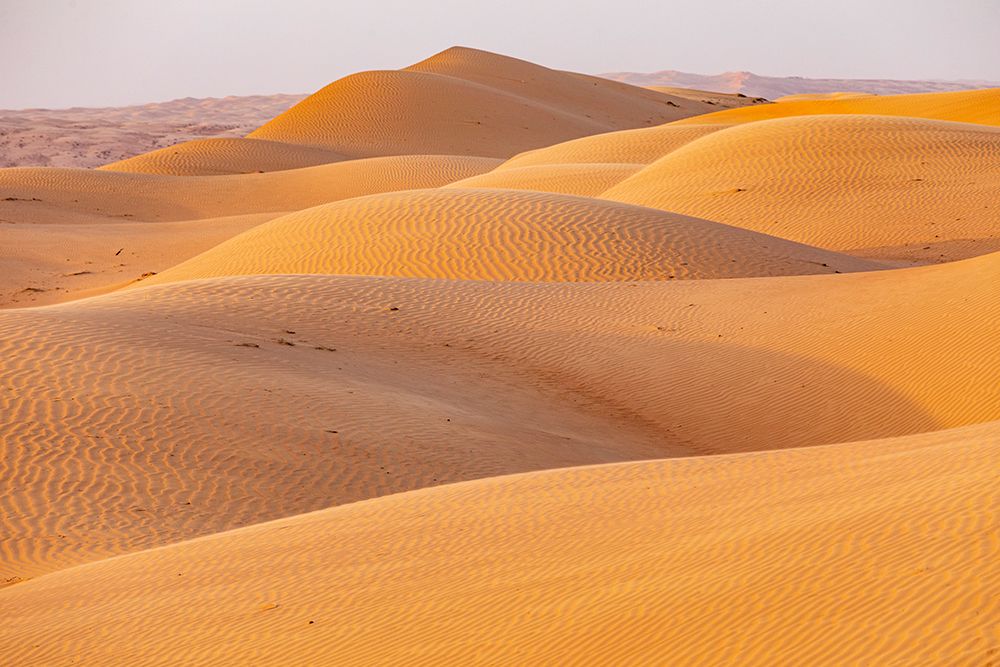 Middle East-Arabian Peninsula-Ash Sharqiyah North-Bidiyah-Sand dunes in the desert of Oman art print by Emily Wilson for $57.95 CAD