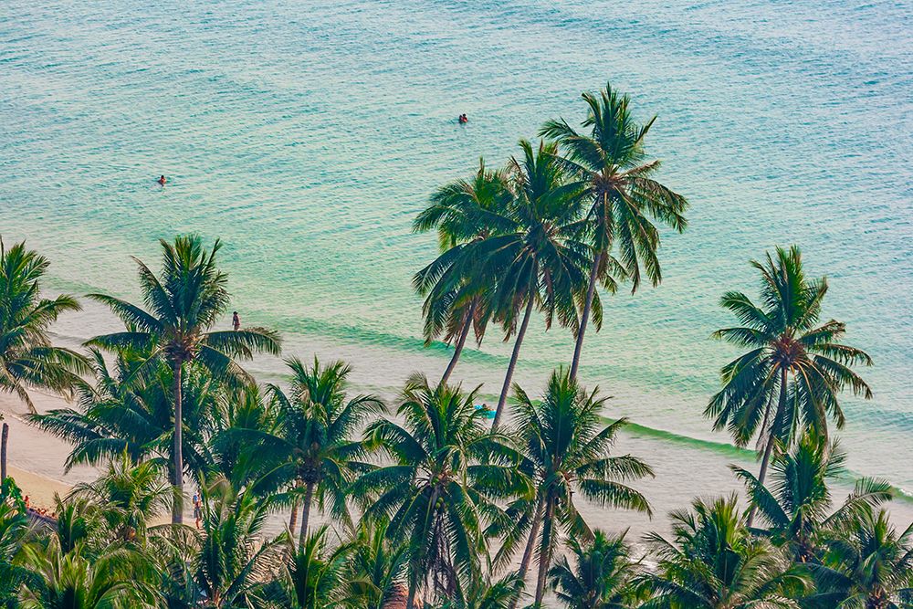 Asia-Thailand-Palm trees on Koh Chang-South of Bangkok-in Gulf of Thailand art print by Tom Haseltine for $57.95 CAD