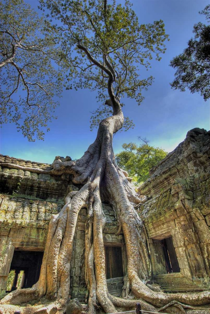 Cambodia, Angkor Wat Ruins of Beng Melea Temple art print by Jones Shimlock for $57.95 CAD