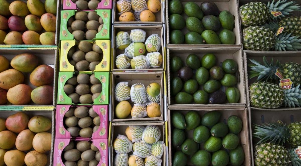 UAE, Abu Dhabi Various fruit in boxes at market art print by Bill Young for $57.95 CAD