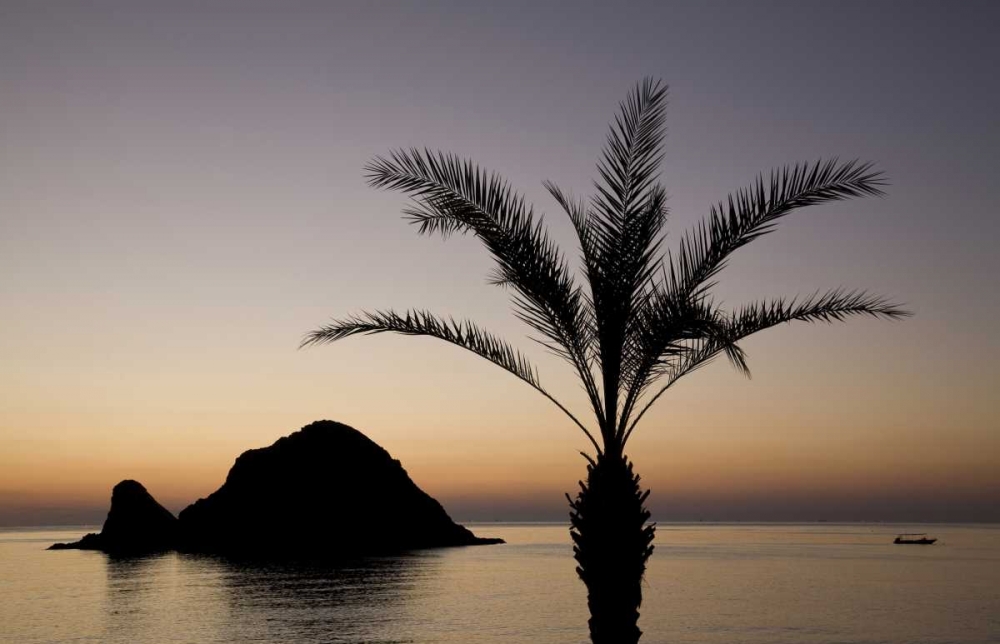 UAE, Fujairah Snoopy Island and palm tree art print by Bill Young for $57.95 CAD
