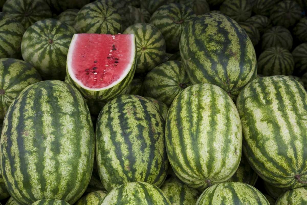 UAE, Abu Dhabi Watermelons on display at market art print by Bill Young for $57.95 CAD