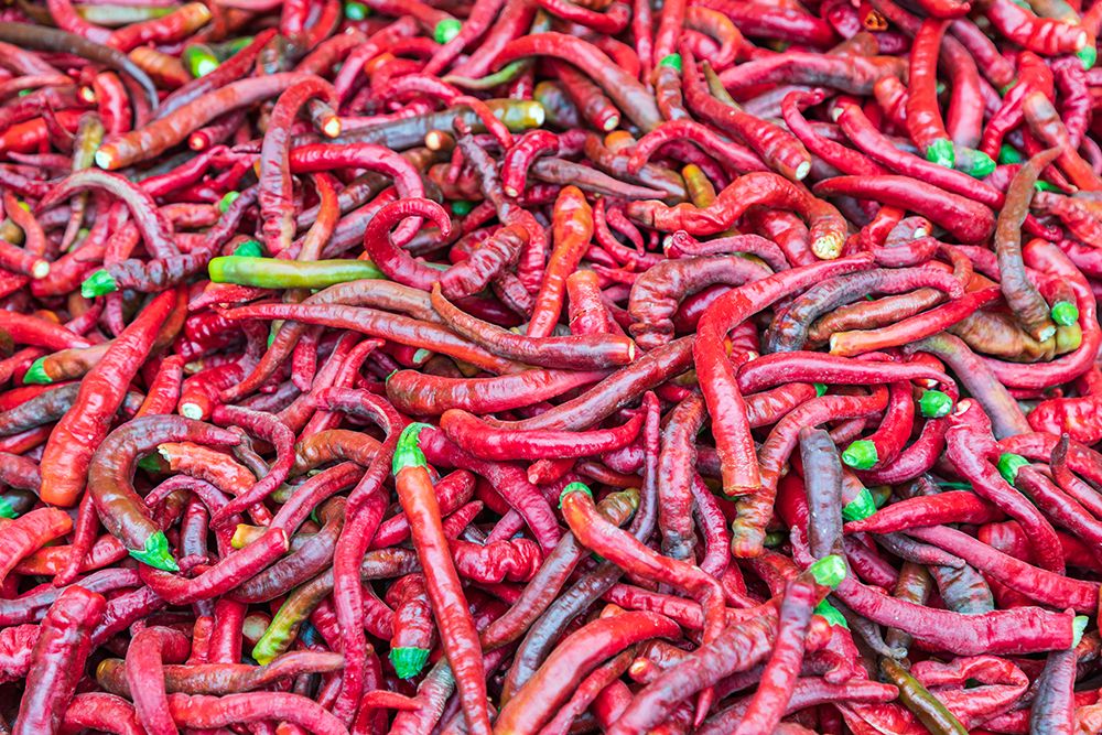 Dushanbe-Tajikistan Chili peppers for sale at the Mehrgon Market in Dushanbe art print by Emily Wilson for $57.95 CAD