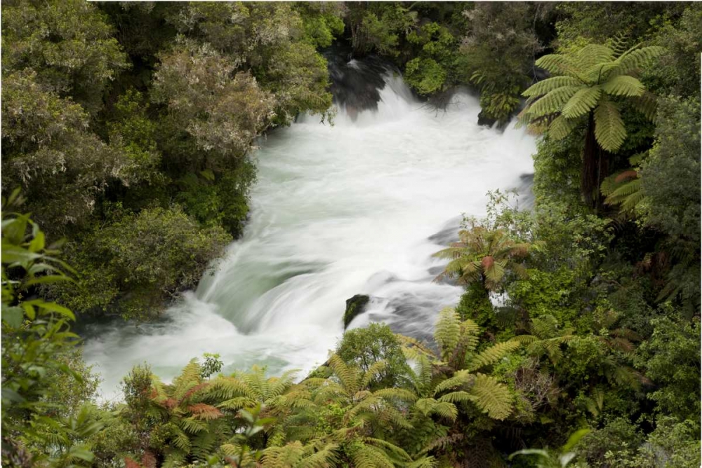 New Zealand, Okere Falls on the Kaituna River art print by Don Grall for $57.95 CAD