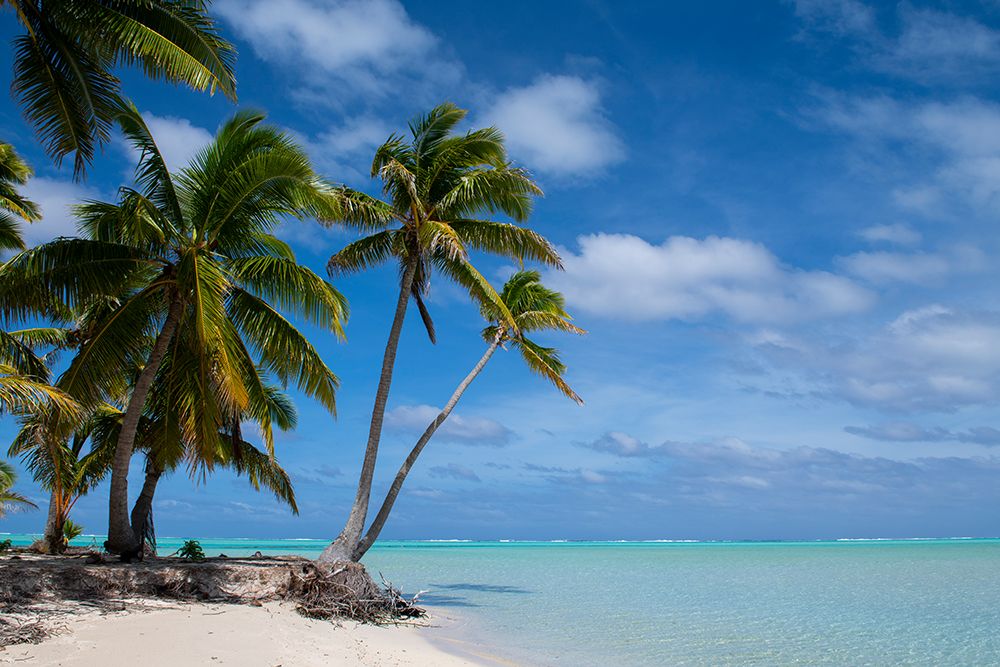 New Zealand, Cook Islands, Aitutaki, One Foot Island. art print by Cindy Miller Hopkins for $57.95 CAD