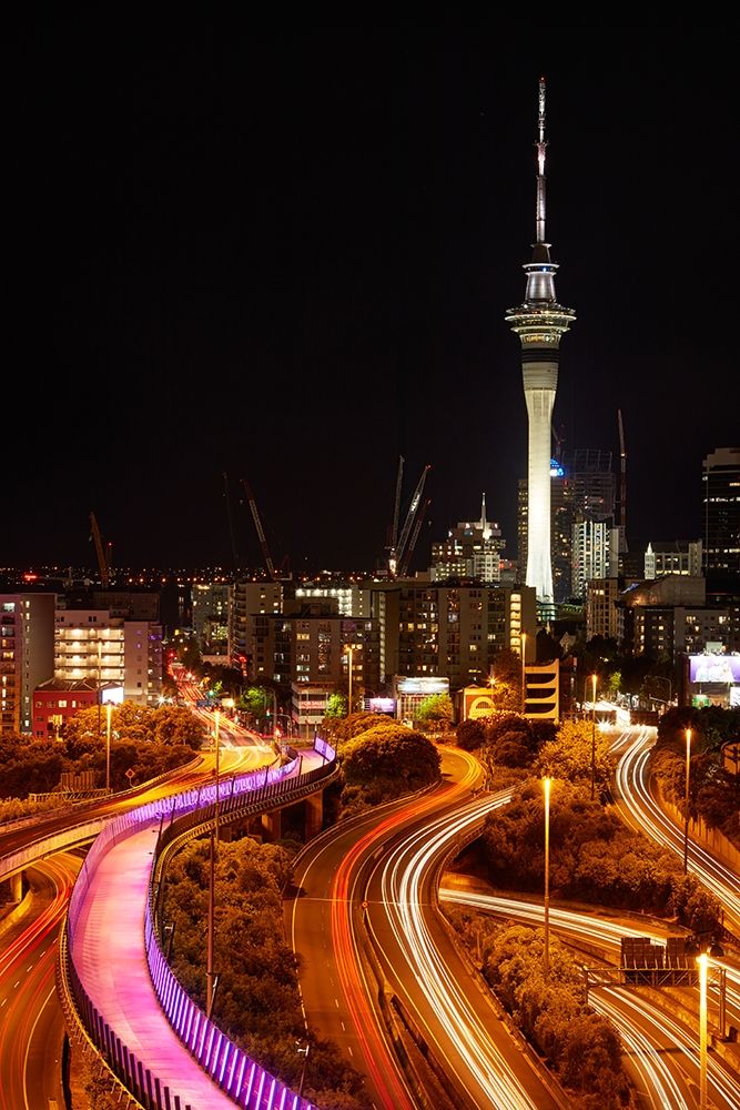 Motorways-Lightpath cycleway-and Skytower at night-Auckland-North Island-New Zealand art print by David Wall for $57.95 CAD
