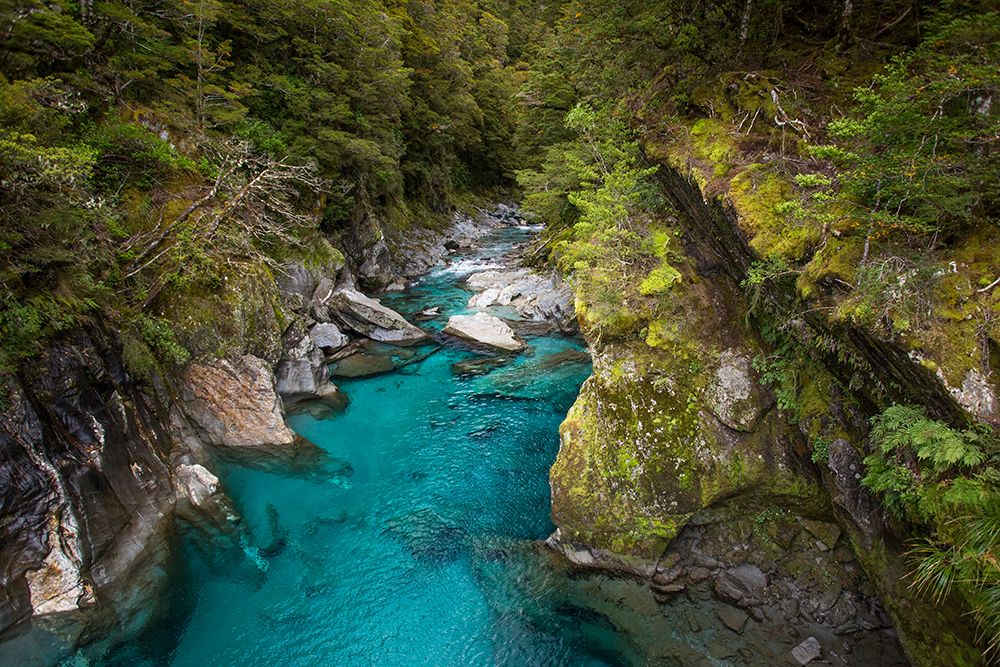 Makarora-New Zealand. The Blue Pools of Makarora offer enticing blue waters to swim in. art print by Micah Wright for $57.95 CAD