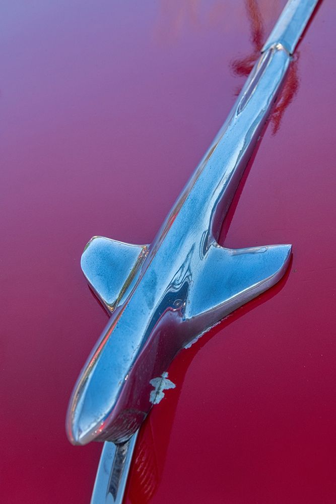 Detail of hood ornament on red classic American car in Habana-Havana-Cuba art print by Janis Miglavs for $57.95 CAD