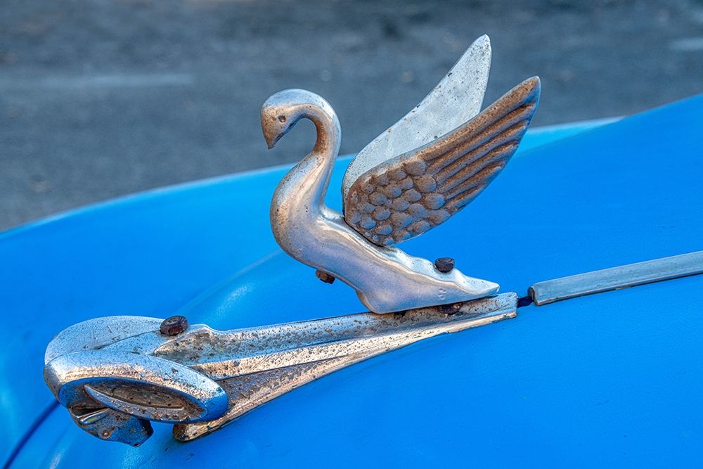 Close-up a swan hood ornament on a classic blue American car in Vieja-old Habana-Havana-Cuba art print by Janis Miglavs for $57.95 CAD