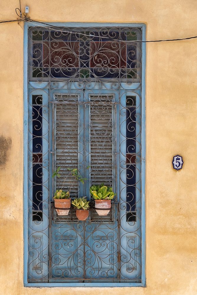 Flower pots sit in wrought iron gate in front of blue door in Old Havana; La Habana Vieja-Cuba art print by Janis Miglavs for $57.95 CAD