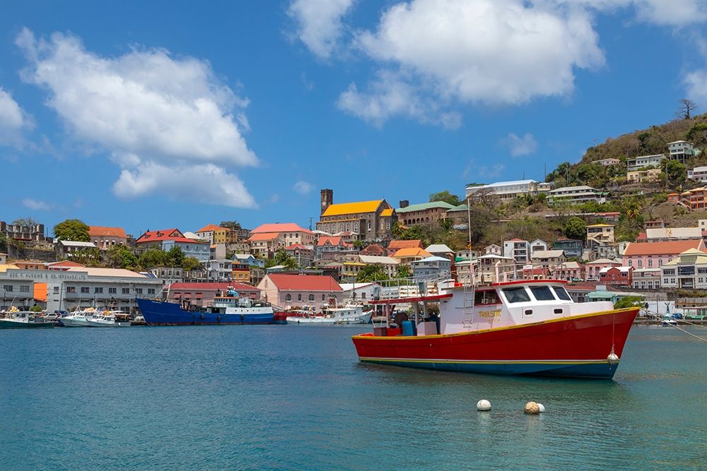 Caribbean-Grenada-St Georges Boats in The Carenage harbor art print by Jaynes Gallery for $57.95 CAD