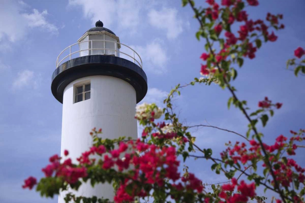 Puerto Rico, Viegues Island Coastal lighthouse art print by Dennis Flaherty for $57.95 CAD