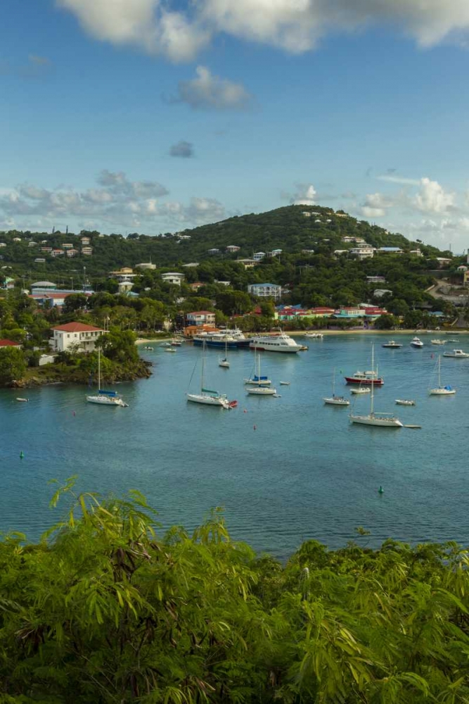 Caribbean, USA Virgin Islands, St John Cruz Bay art print by Cathy and Gordon Illg for $57.95 CAD