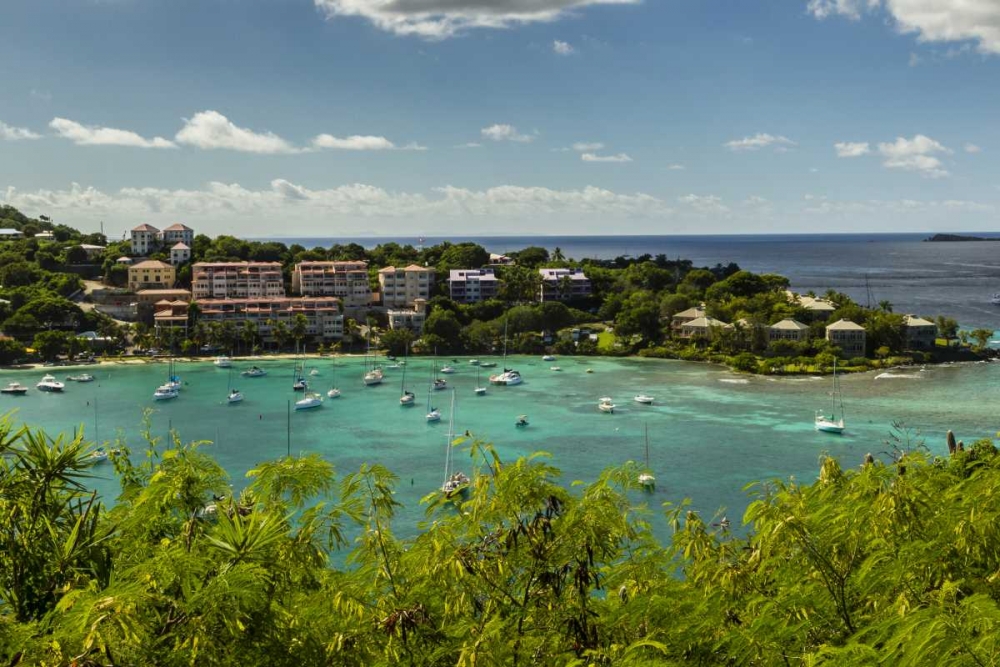 Caribbean, USA Virgin Islands, St John Cruz Bay art print by Cathy and Gordon Illg for $57.95 CAD