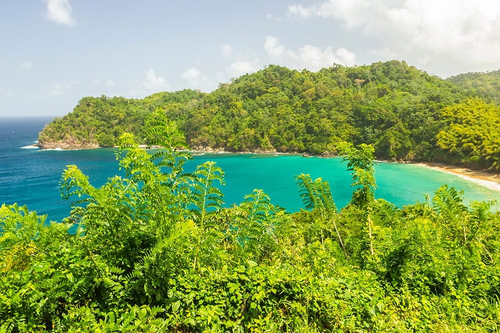 Caribbean-Tobago Ocean cove and jungle landscape  art print by Jaynes Gallery for $57.95 CAD