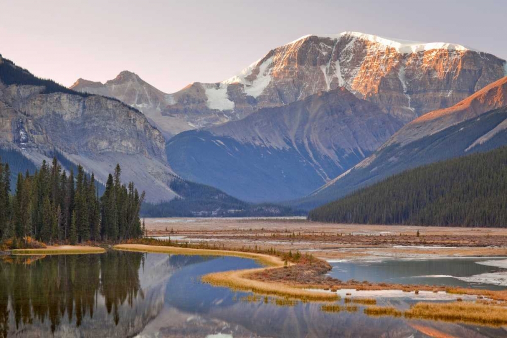 Canada, Jasper NP Sunrise on Mount Kitchener art print by Don Paulson for $57.95 CAD