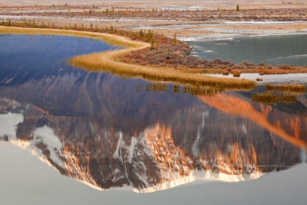 Canada, Jasper NP Mt Kitchener in Sunwapta River art print by Don Paulson for $57.95 CAD
