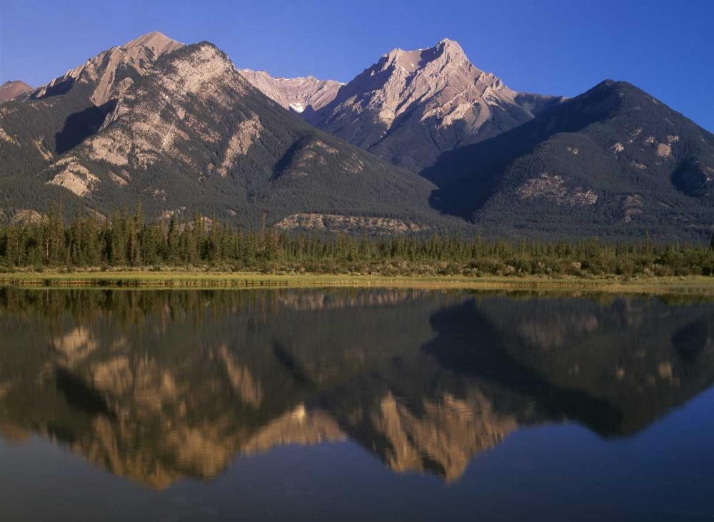 Canada, Alberta, Canadian Rockies at Jasper NP art print by Mike Grandmaison for $57.95 CAD