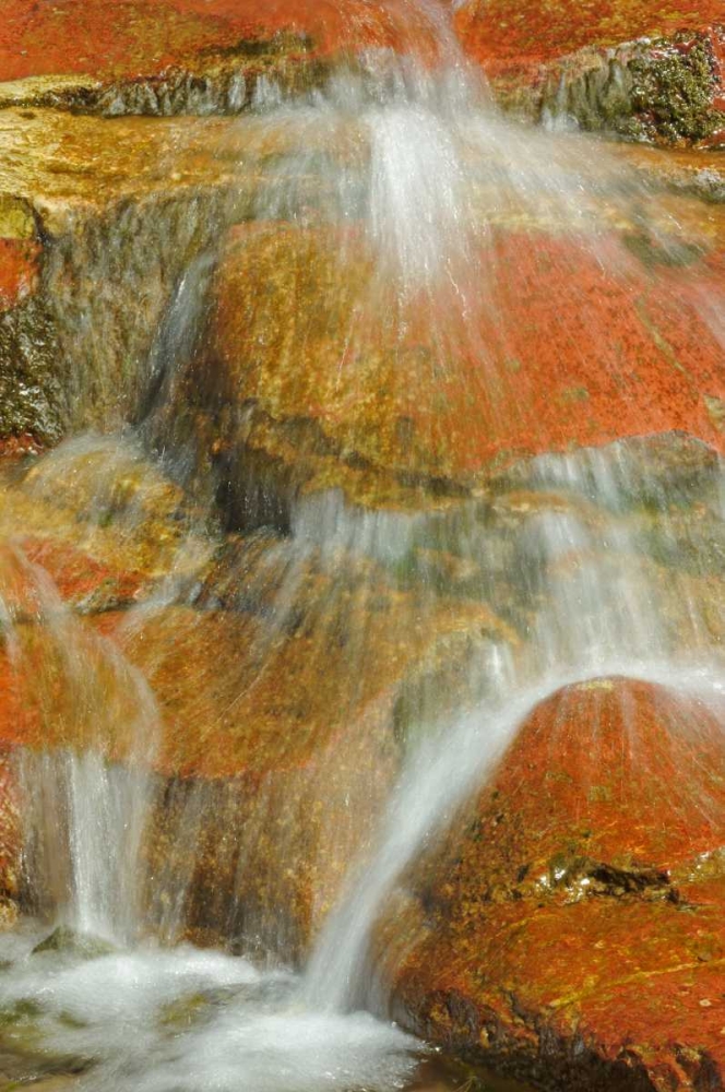 Canada, Alberta, Stream in Red Rock Canyon art print by Mike Grandmaison for $57.95 CAD
