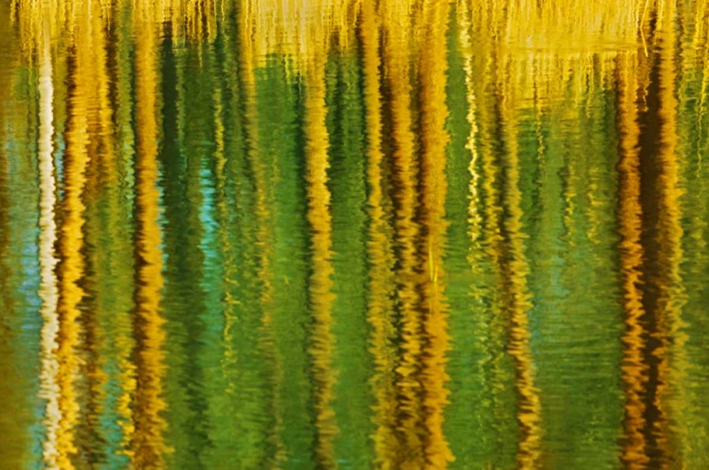Canada, Alberta, Elk Island NP Aspen by a pond art print by Mike Grandmaison for $57.95 CAD