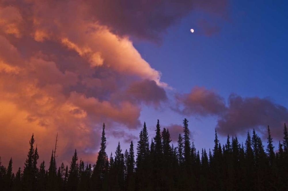 Canada, Alberta, Jasper NP Clouds over forest art print by Mike Grandmaison for $57.95 CAD