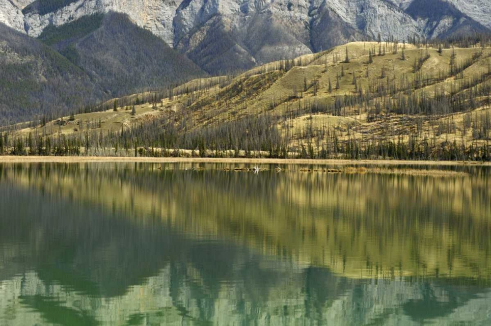 Canada, Jasper NP Reflection on Talbot Lake art print by Mike Grandmaison for $57.95 CAD